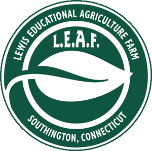 LEAF CT