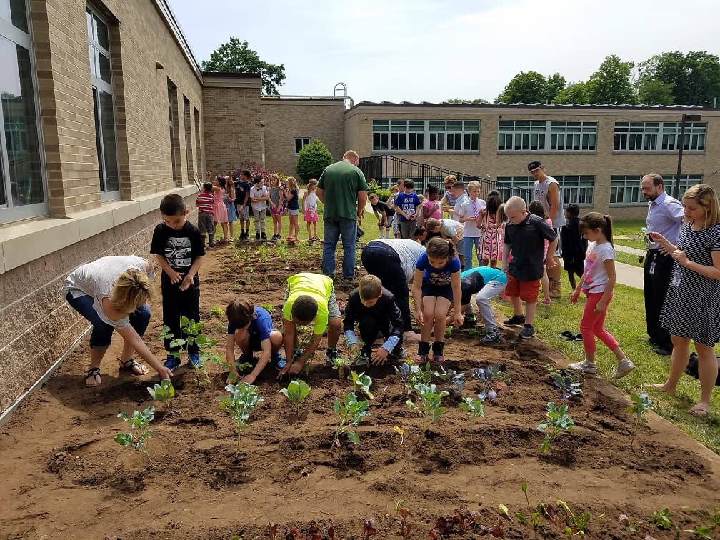 School garden 5
